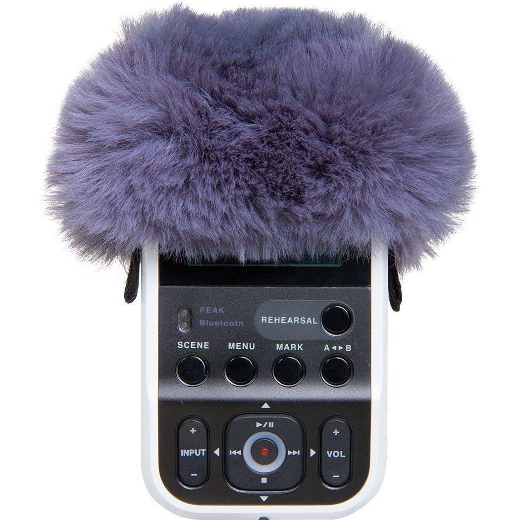 Roland R07-WS Vindskydd För R-07