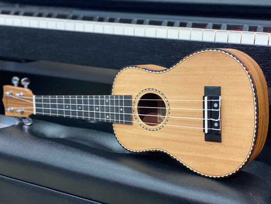 Borg Sounds Ukulele Guide