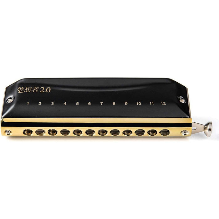 Easttop PRO10 Blues Professional Harp - Ton: C