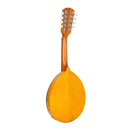 GOLD TONE GM-10 Frypan-style mandolin – massiv konstruktion | Inkl. kasse