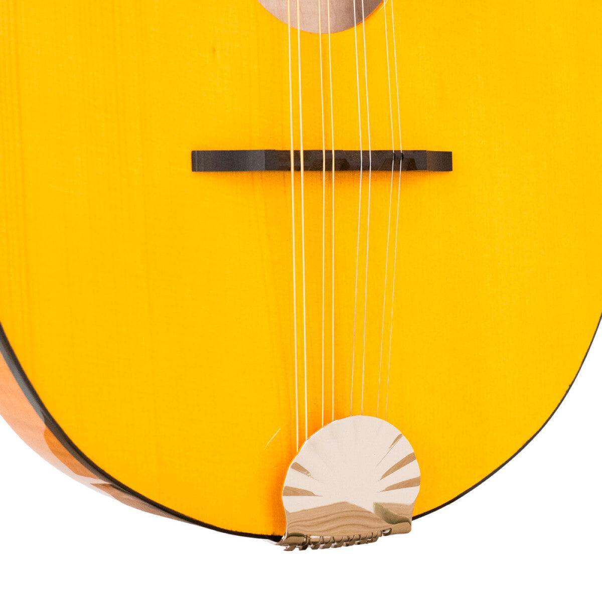 GOLD TONE GM-10 Frypan-style mandolin – massiv konstruktion | Inkl. kasse