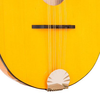 GOLD TONE GM-10 Frypan-style mandolin – massiv konstruktion | Inkl. kasse