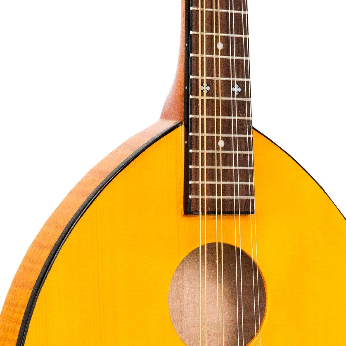 GOLD TONE GM-10 Frypan-style mandolin – massiv konstruktion | Inkl. kasse