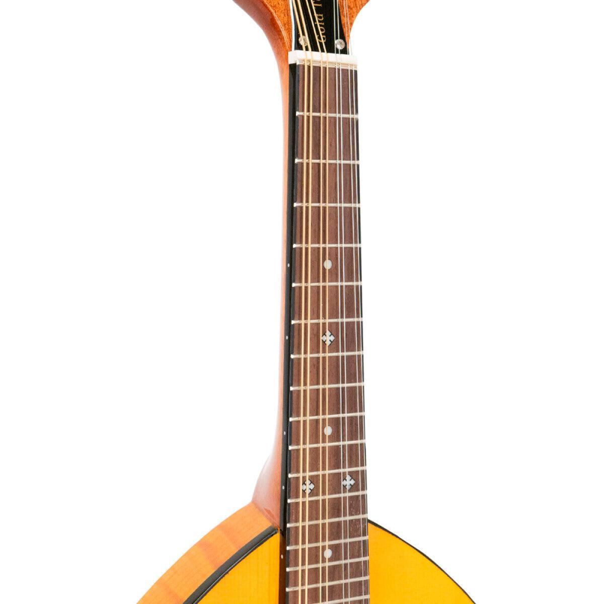 GOLD TONE GM-10 Frypan-style mandolin – massiv konstruktion | Inkl. kasse
