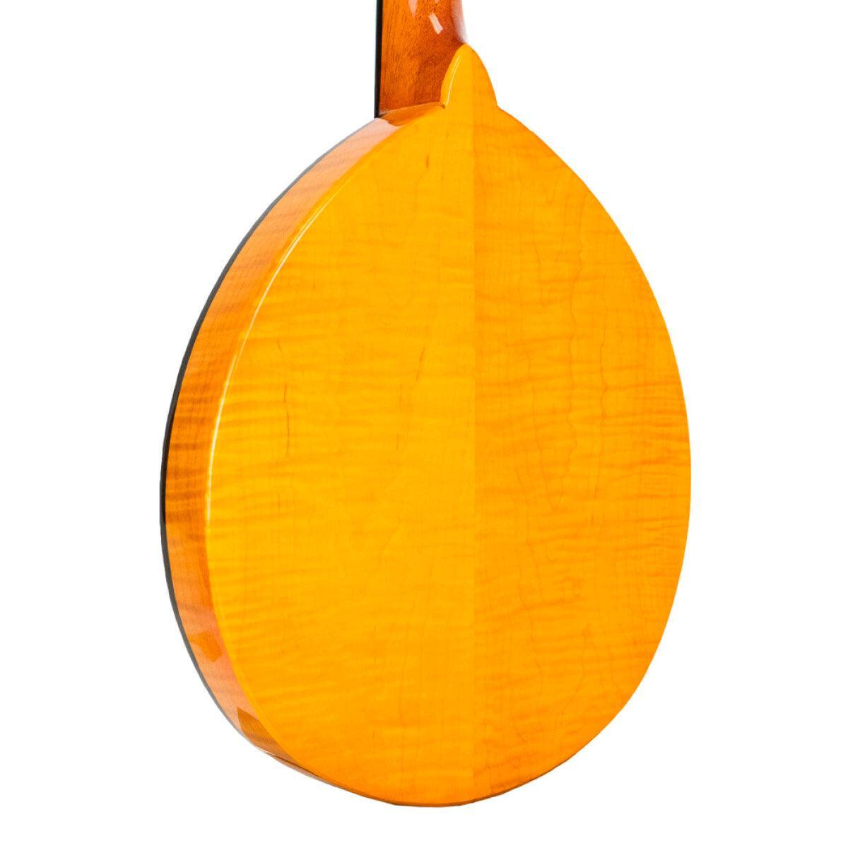 GOLD TONE GM-10 Frypan-style mandolin – massiv konstruktion | Inkl. kasse