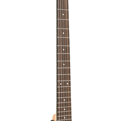 Gold Tone AC-6+ Banjitar med pickup og taske