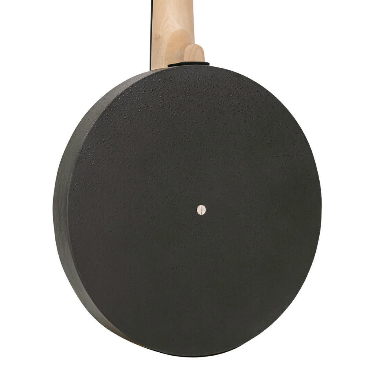 Gold Tone AC-6+ Banjitar med pickup og taske