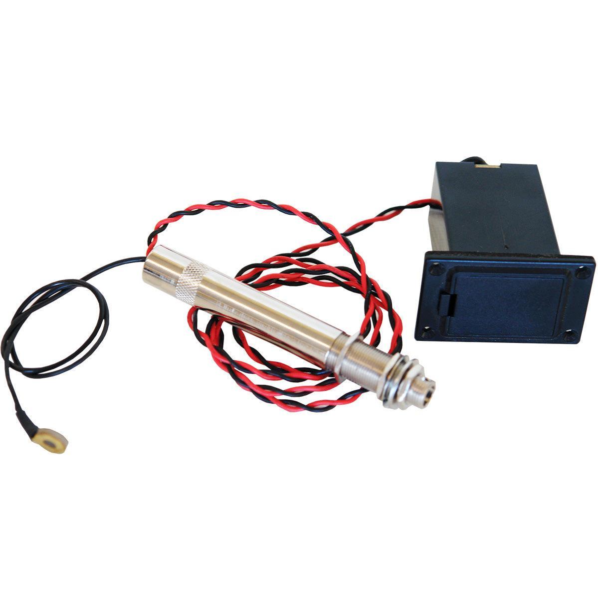 Gold Tone B1442 Beard Fishman pickup inkl. installation