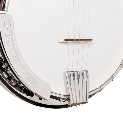 Gold Tone BG-150F 5-strängad Bluegrass banjo med fläns och väska