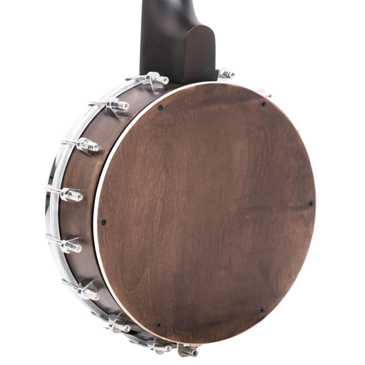 Gold Tone BUT 4-string tenor banjo-ukulele with case