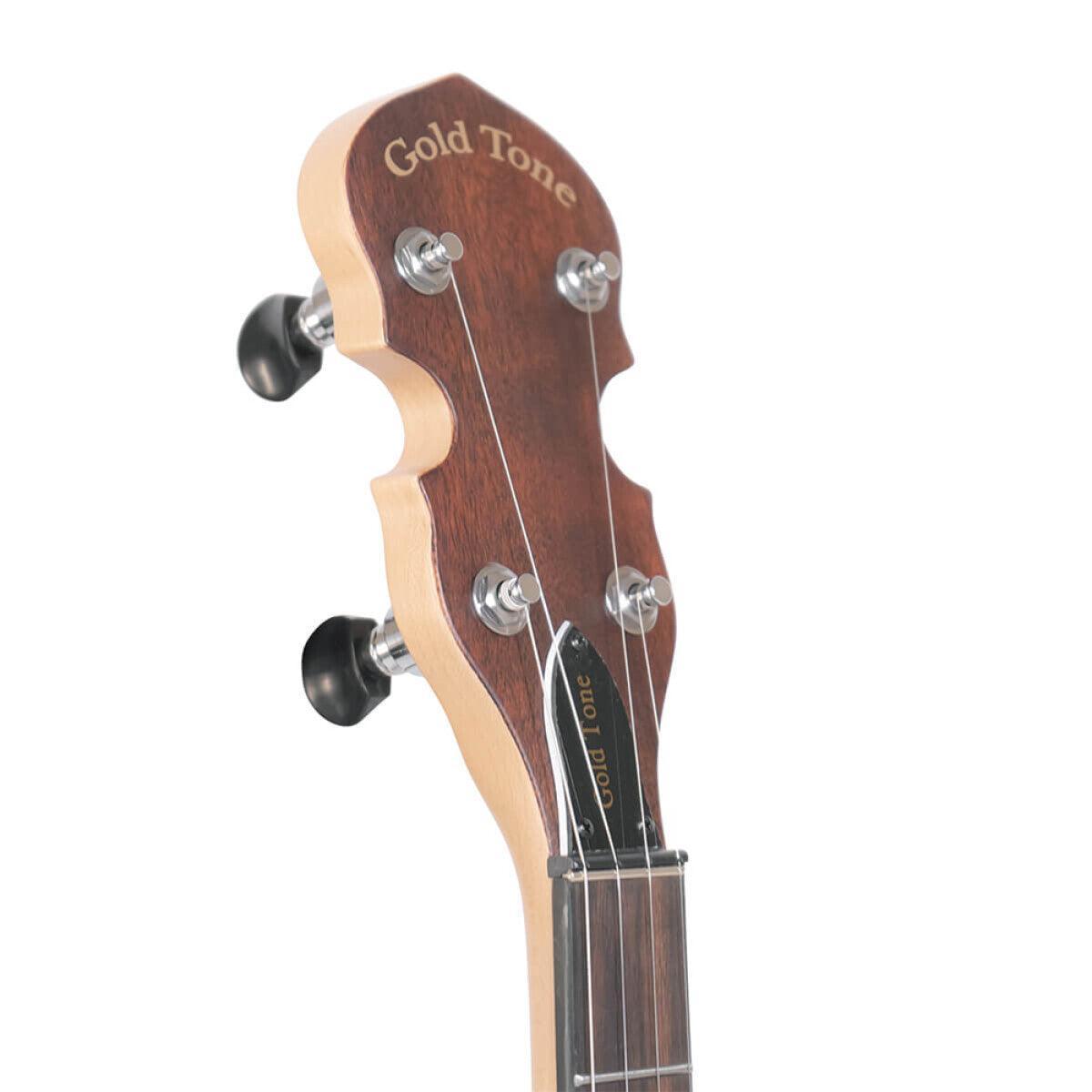 Gold Tone EB-5 5-strängad elektrisk banjo med väska