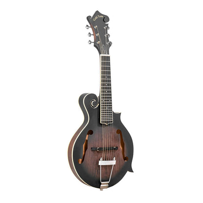 Gold Tone F-6 6-string Guitar Mandolin med F-style Krop, Pickup og Hard Case