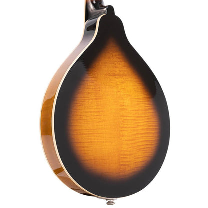 Gold Tone GM-50+ A-style mandolin with pickup and bag included