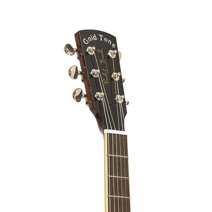 Gold Tone GRS Paul Beard Metal Body Resonator Guitar