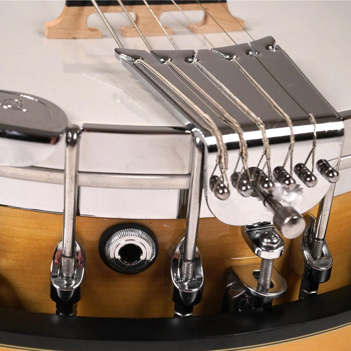 Gold Tone GT-500 Gold Tone Deluxe Banjitar, 6-strenget guitarhals med banjokrop