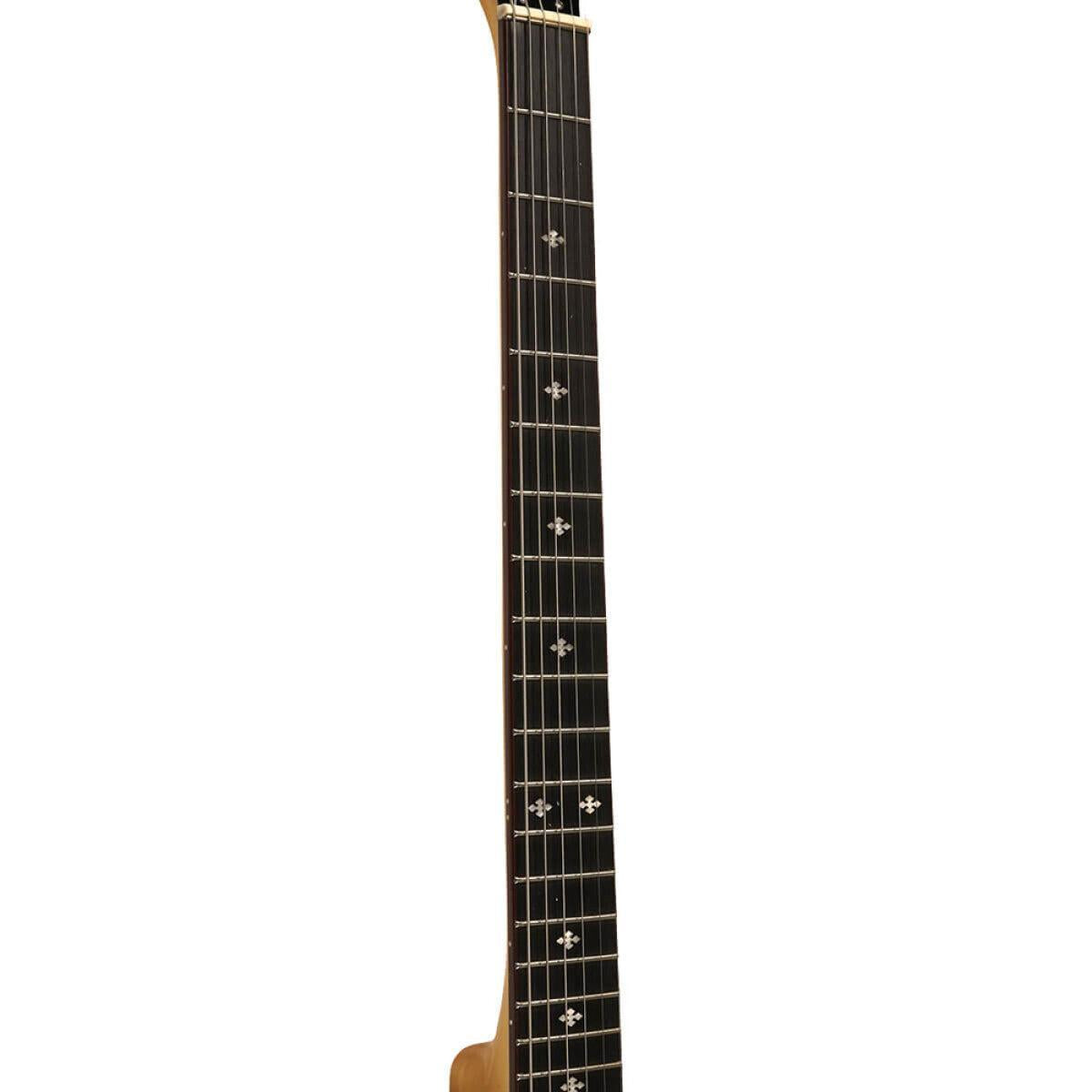 Gold Tone GT-500 Gold Tone Deluxe Banjitar, 6-strenget guitarhals med banjokrop