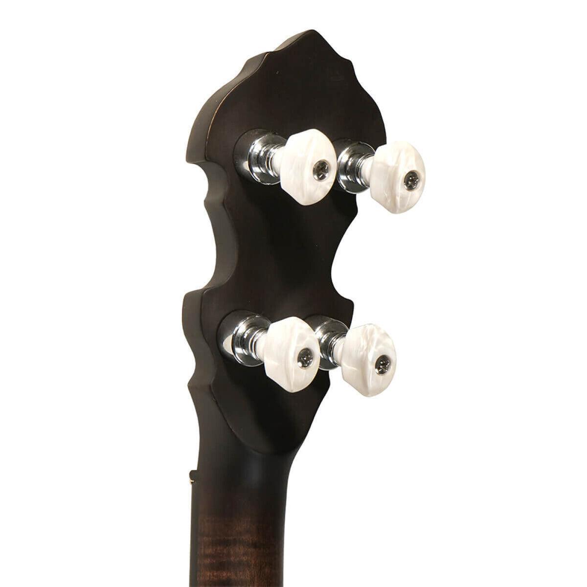 Gold Tone IT-17 Irish tenor banjo med 12" pot og taske inkluderet