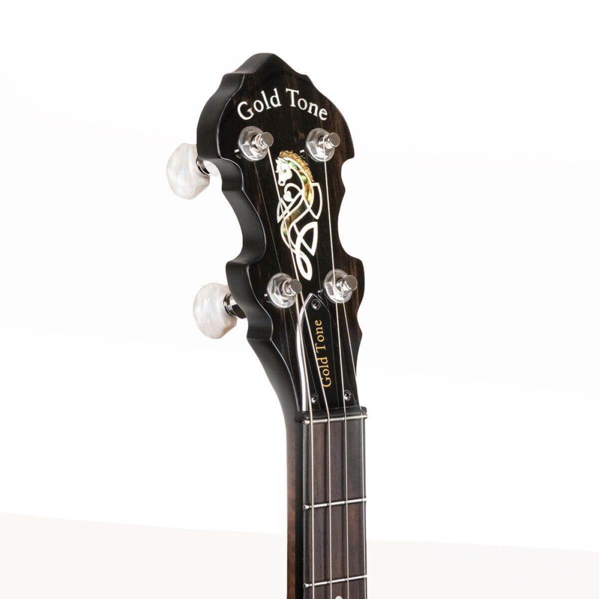 Gold Tone IT-19 irländsk tenorbanjo med 19 band, väska ingår