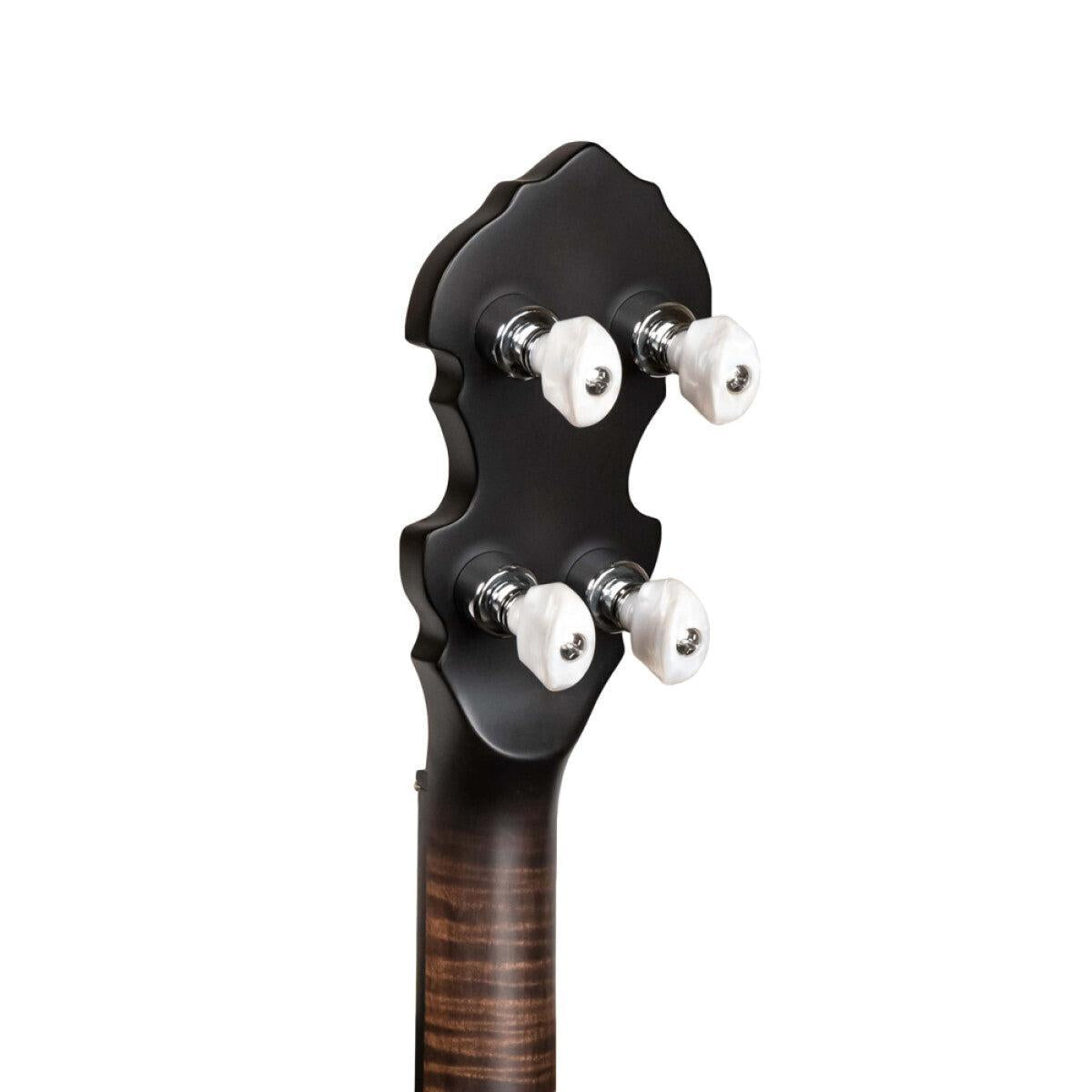 Gold Tone IT-19 irländsk tenorbanjo med 19 band, väska ingår