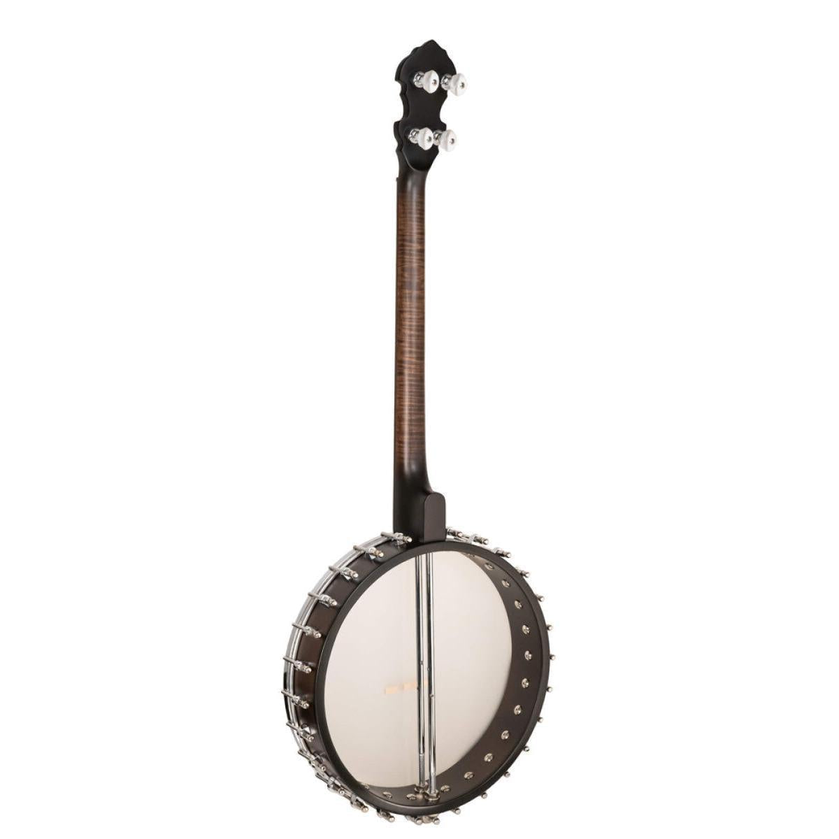 Gold Tone IT-19 irländsk tenorbanjo med 19 band, väska ingår