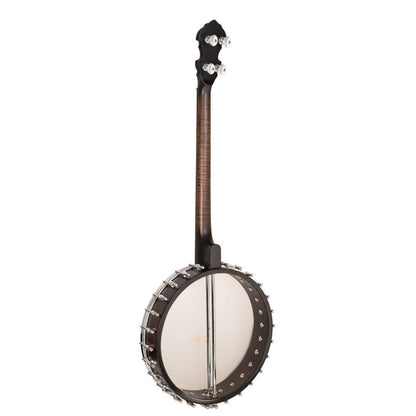 Gold Tone IT-19 irländsk tenorbanjo med 19 band, väska ingår