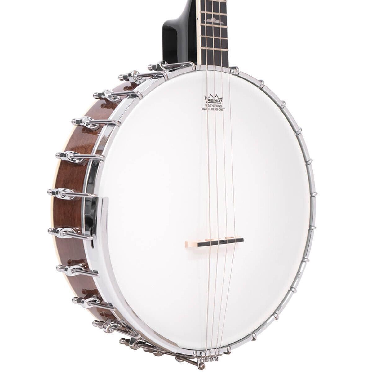 Gold Tone IT-250 irländsk tenor banjo och hårdskal