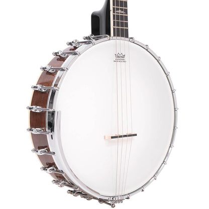 Gold Tone IT-250 irländsk tenor banjo och hårdskal