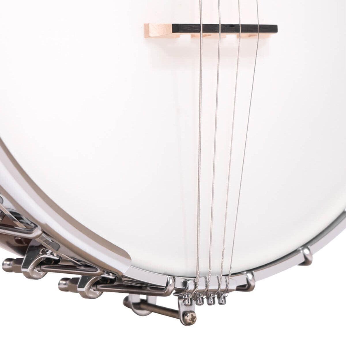 Gold Tone IT-250 irländsk tenor banjo och hårdskal