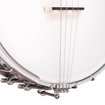 Gold Tone IT-250 irländsk tenor banjo och hårdskal