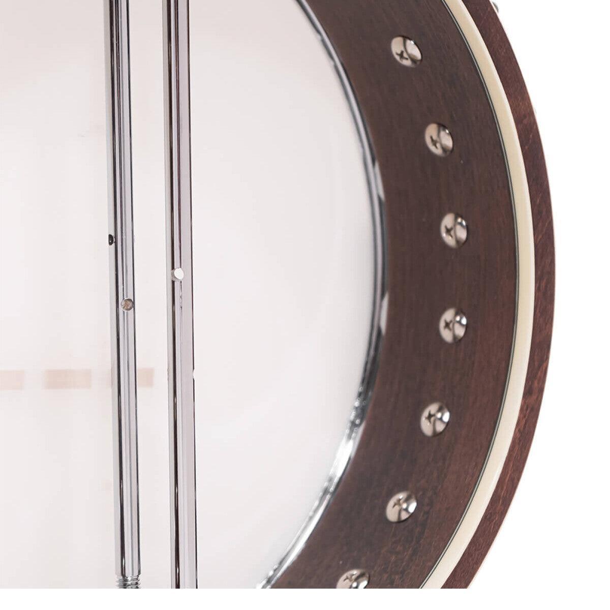 Gold Tone IT-250 irländsk tenor banjo och hårdskal