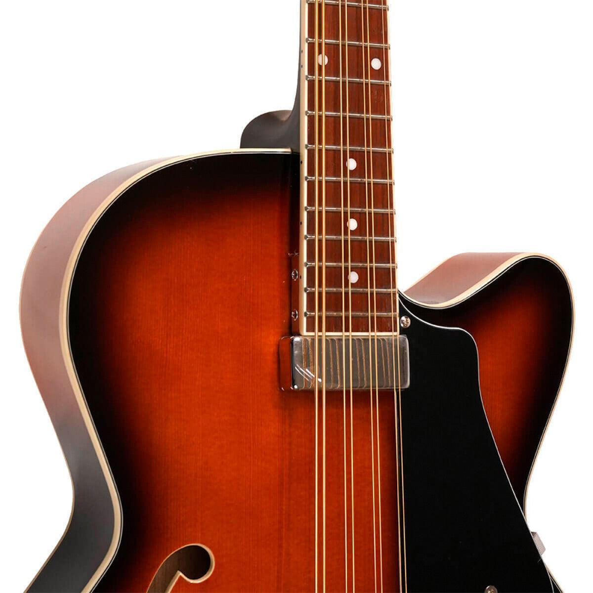 Gold Tone MANDOCELLO Mandocello gitarr med pickup och fodral