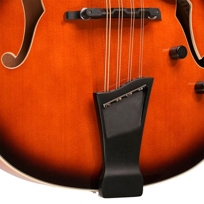 Gold Tone MANDOCELLO Mandocello gitarr med pickup och fodral