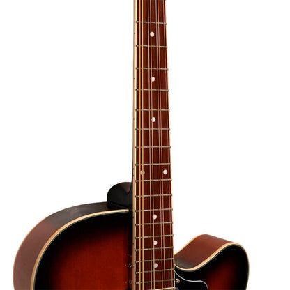 Gold Tone MANDOCELLO Mandocello gitarr med pickup och fodral