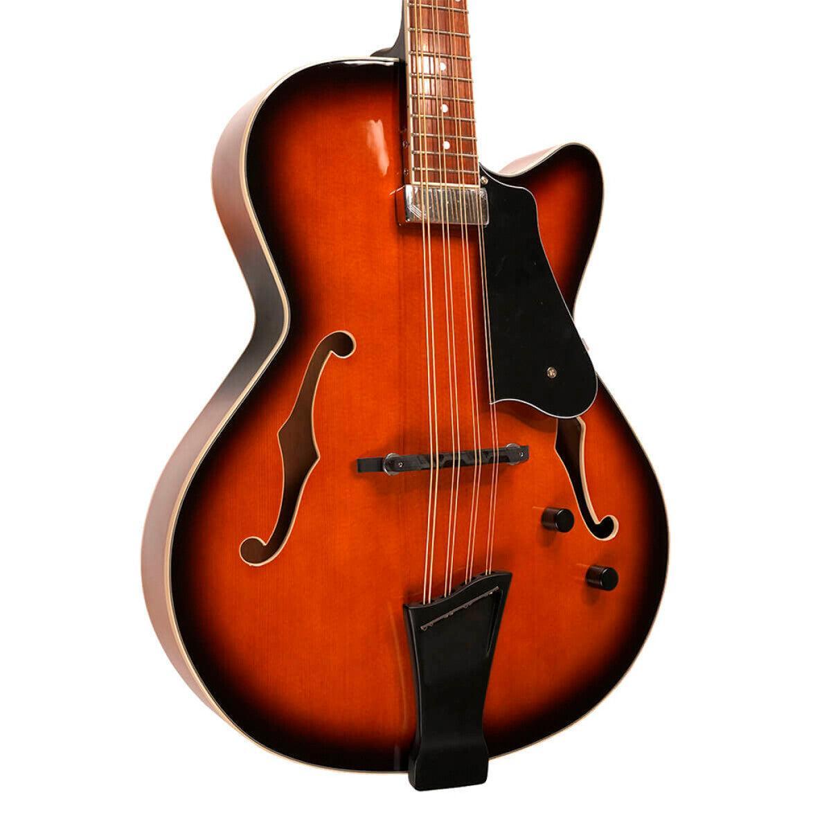 Gold Tone MANDOCELLO Mandocello gitarr med pickup och fodral