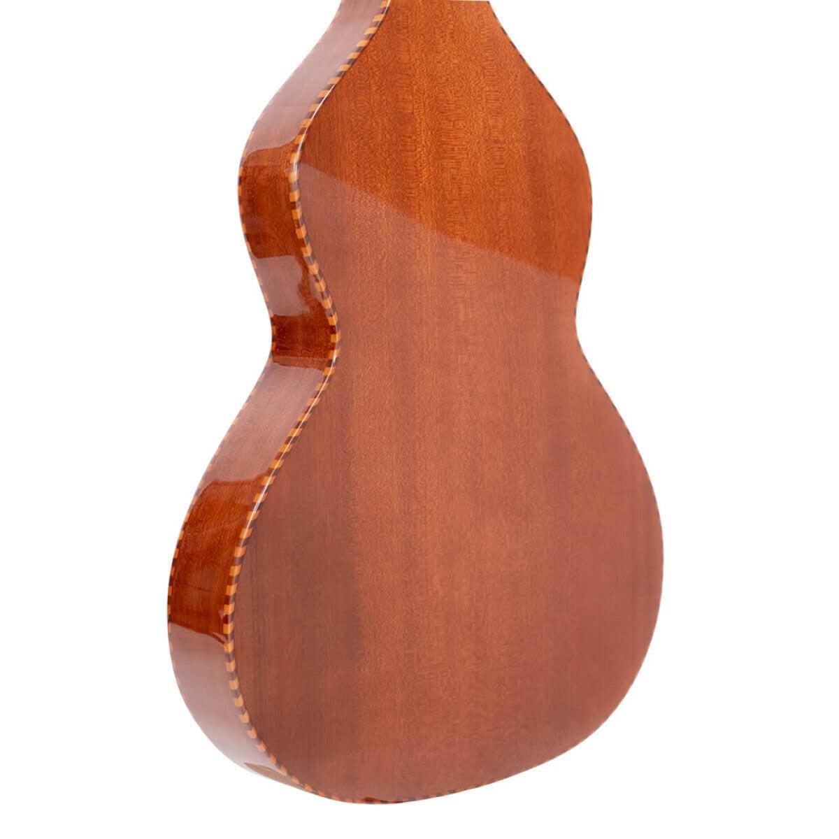 Gold Tone SM+ Weissenborn gitarr med massiv mahogny topp och hård skal
