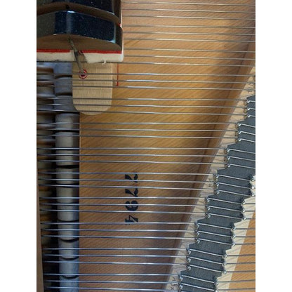 Hindsberg Flygel S/N 7794