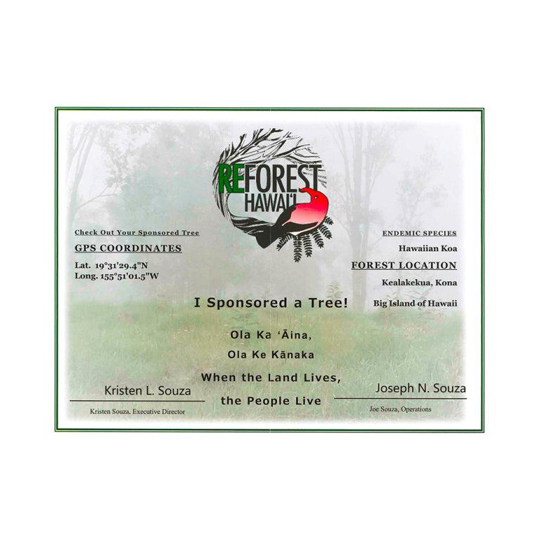 Islander PAT-BOX Traditional mahogni concert ukulele "reforest Hawai" MCB-4 + bag