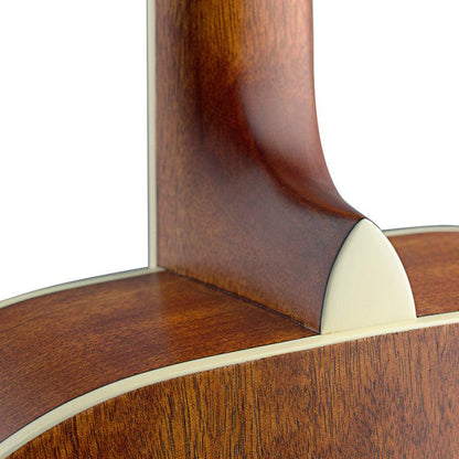 JN Guitars ASY-ACE auditoriumgitarr m/massiv grand deck och pick-up