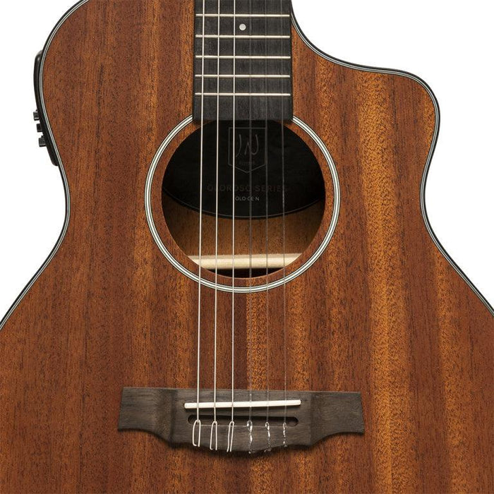 JN Guitars OLO-CE N Klassisk gitarr med PU-system