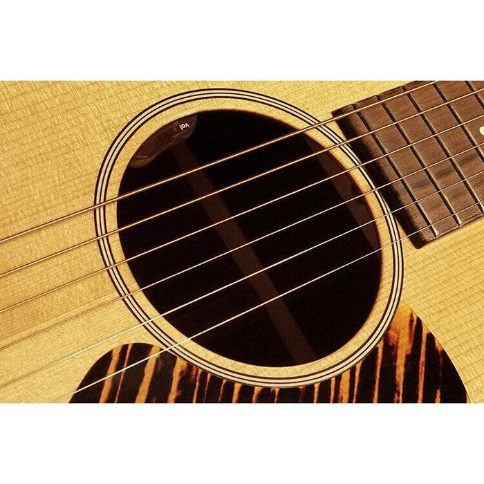 LRBaggs EAS-VTC Pickup för akustisk gitarr