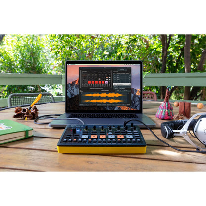 Roland AIRA Compact P-6 Creative Sampler