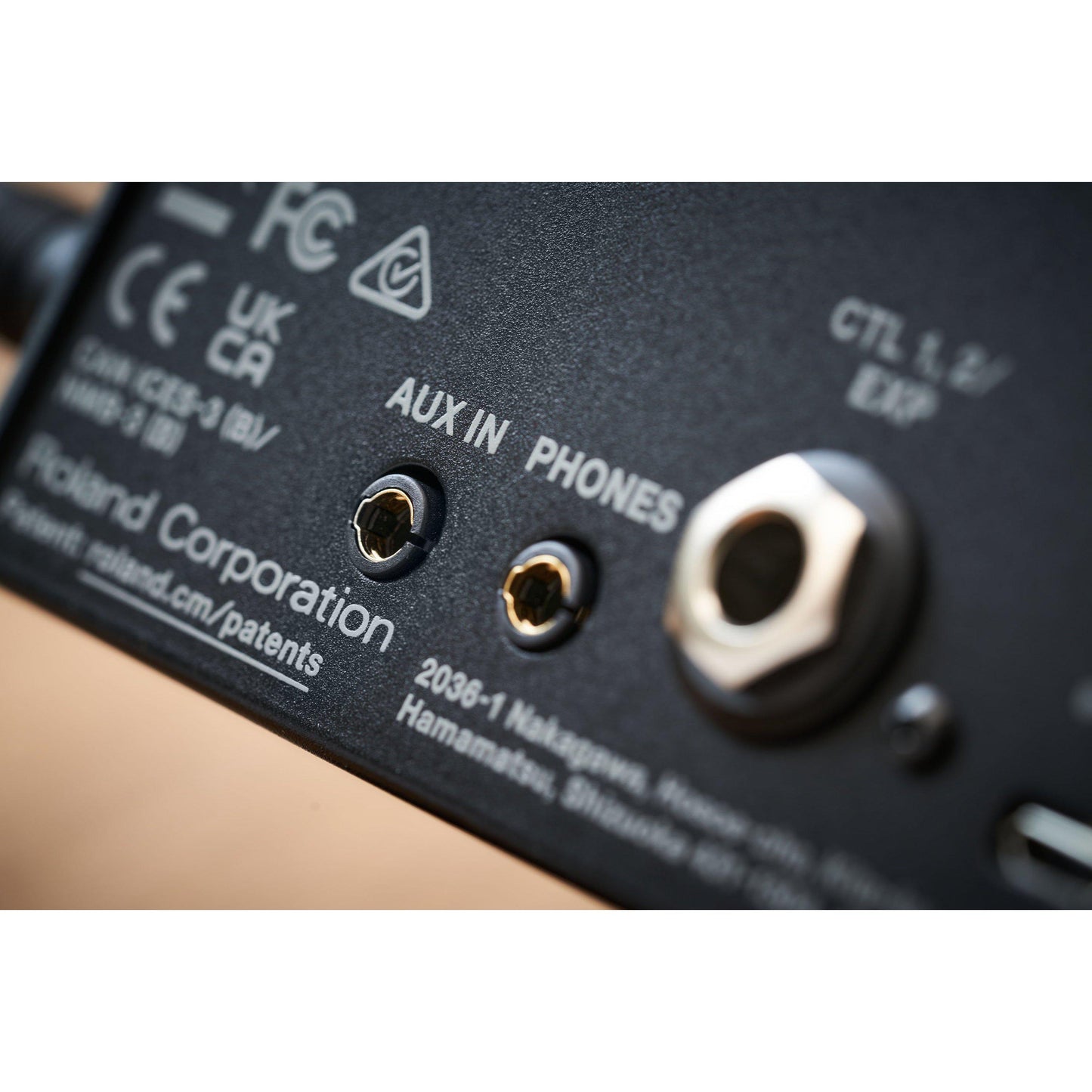 BOSS IR-200 Amp & IR Cabinet