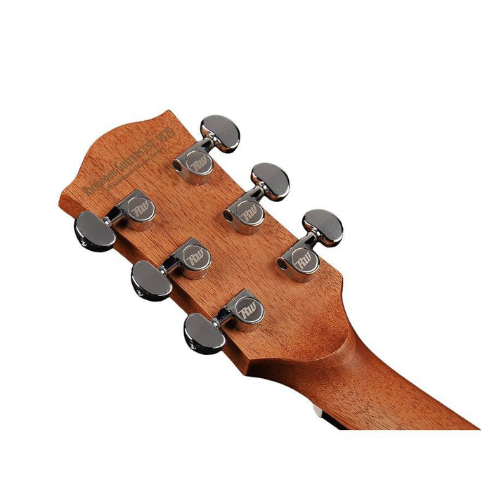 Richwood G-20-CE västerländsk gitarr