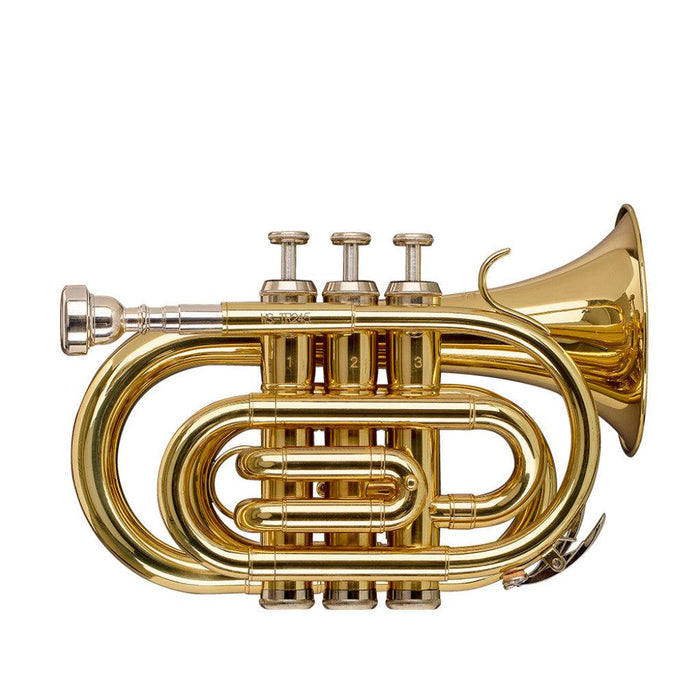 Stagg Bb Pocket Trumpet, Ml-Bore, mässingskroppsmaterial