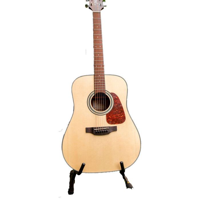 Takamine GD10-NS västerländsk gitarr